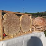 Hakiki Yayla Petek Balı – Doğanın En Saf Mimari Lezzeti