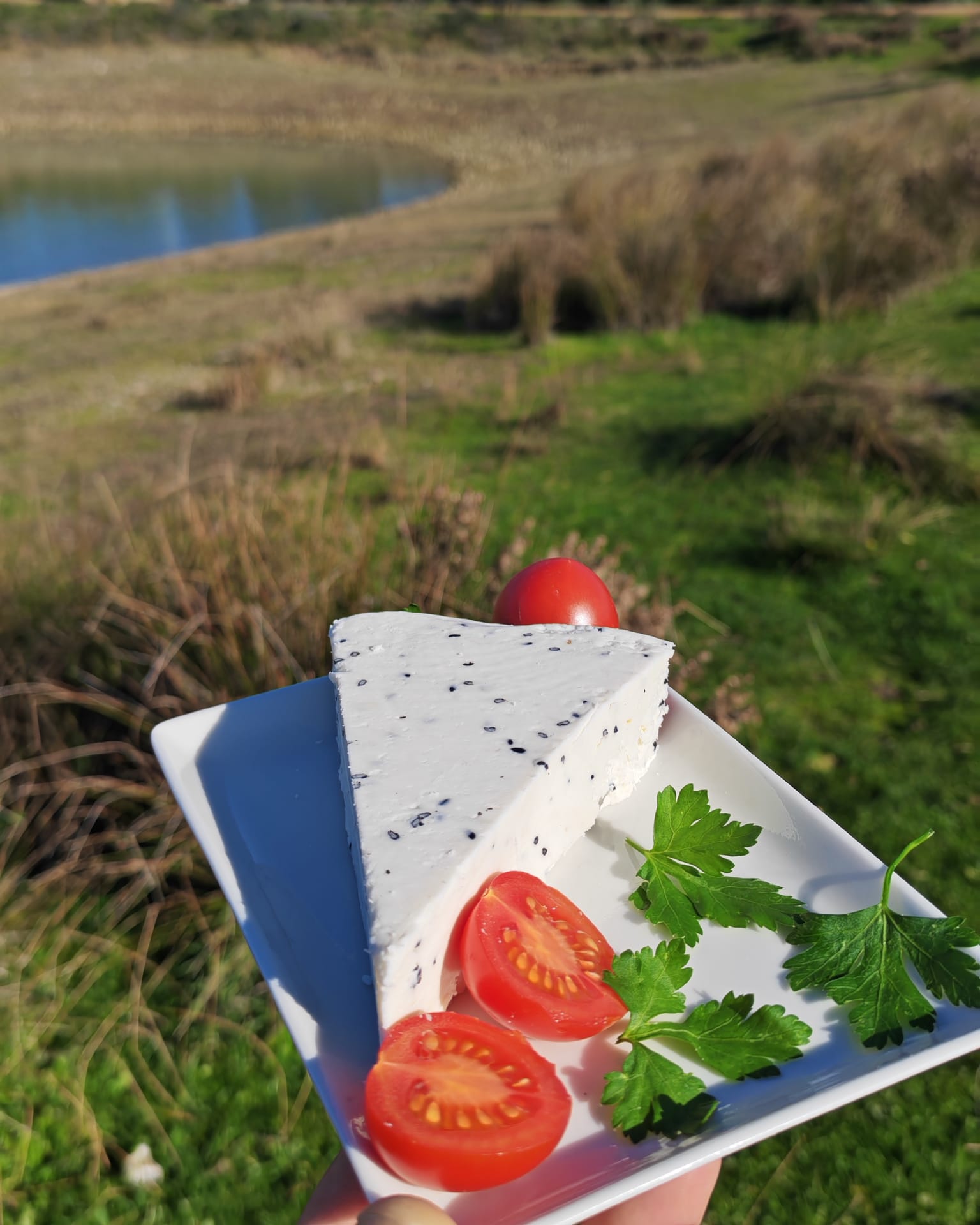 ÇÖREK OTLU TULUM PEYNİRİ Çörek Otlu Tulum Peyniri – Geleneksel Tat, Aromatik Dokunuş - Görsel 1