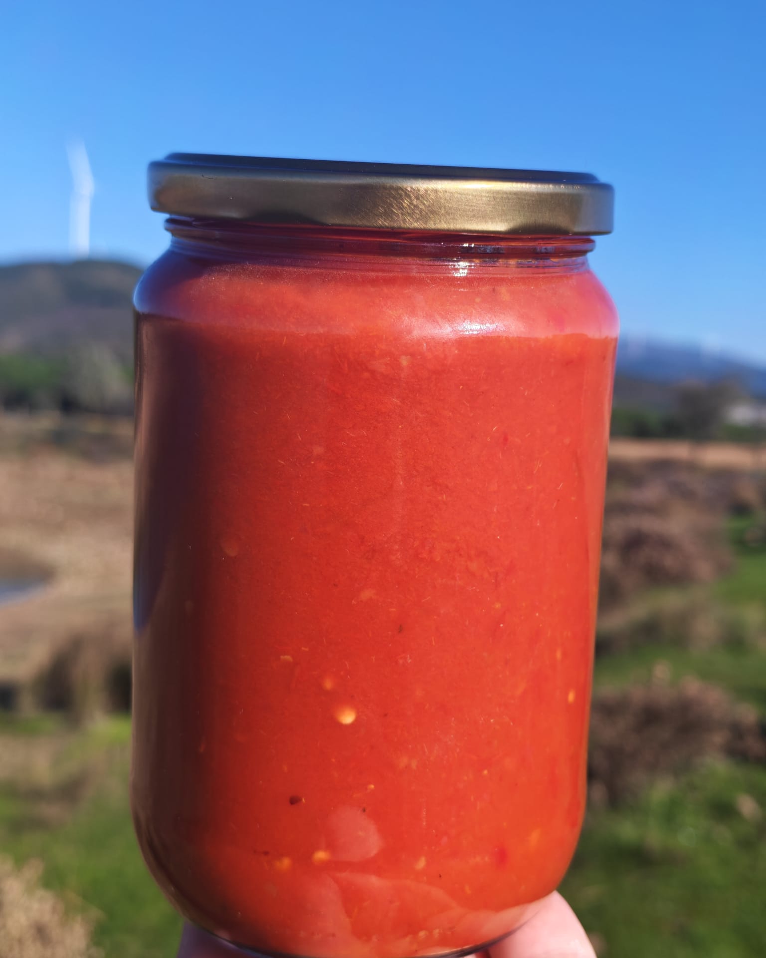 DOMATES VE KAPYA BİBER SOSU Domates ve Kapya Biber Sosu – Yaz Güneşinin Kavanozdaki Hali 750gr - Görsel 1