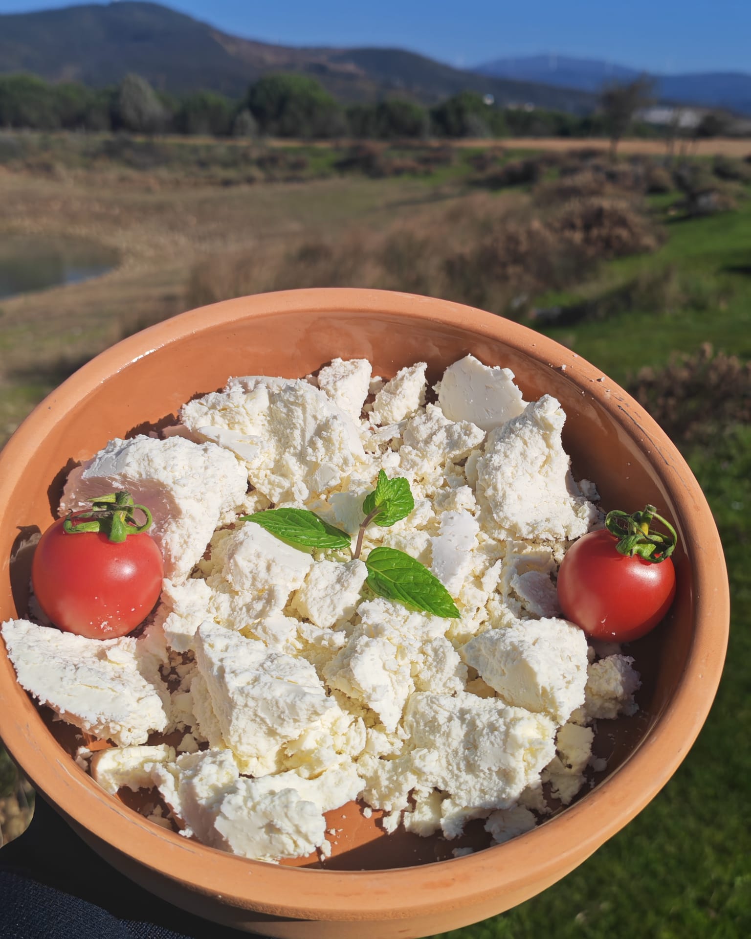 ERZİNCAN tulum peyniri Hakiki Erzincan Tulum Peyniri – Yaylaların Zirvesinden Gelen Lezzet - Görsel 1