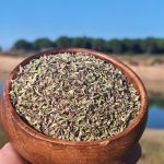 Erzurum Yüksek Yayla Dağ Kekiği – Keskin Koku, Saf Şifa