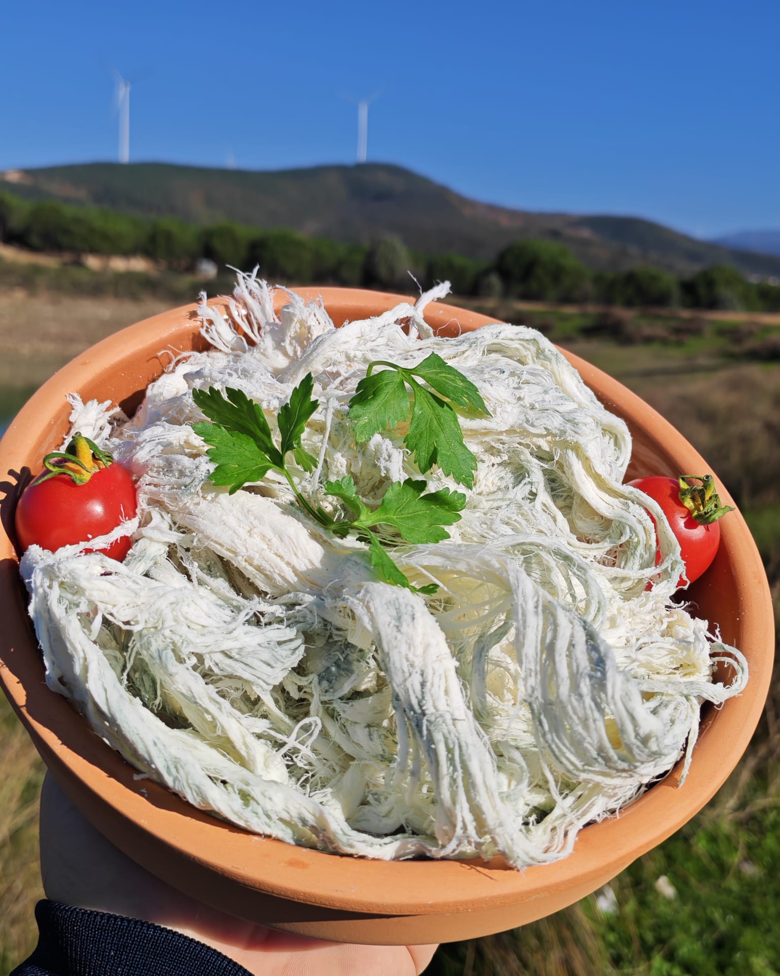 GÖĞERMİŞ PEYNİR Erzurum Göğermiş Peyniri – Doğanın Şifalı Yeşili (Civil Peyniri Özüyle) 1 kg - Görsel 1