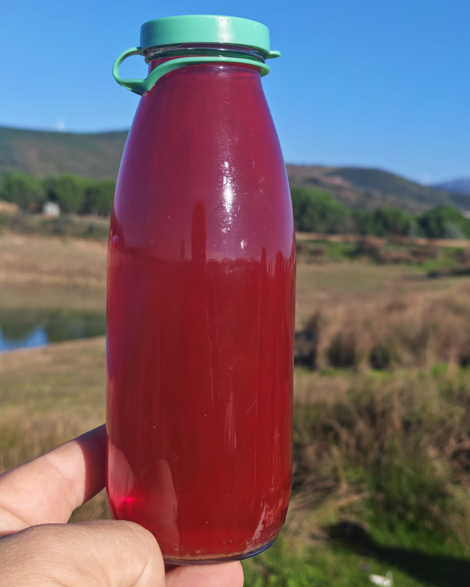 KIRMIZI KANTARON YAĞI Hakiki Kırmızı Kantaron Yağı – Doğanın Şifalı Eli 100 ml - Görsel 1