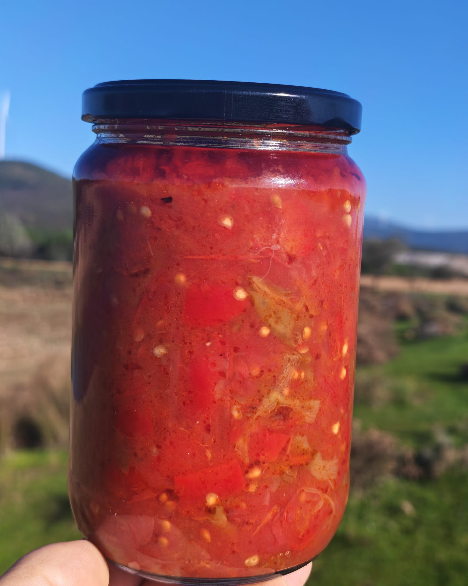 MENEMEN SOSU KÖY USULÜ Pratik Menemen Sosu Köy Usulü – Yaz Lezzeti Dört Mevsim Sofranızda 750gr - Görsel 1